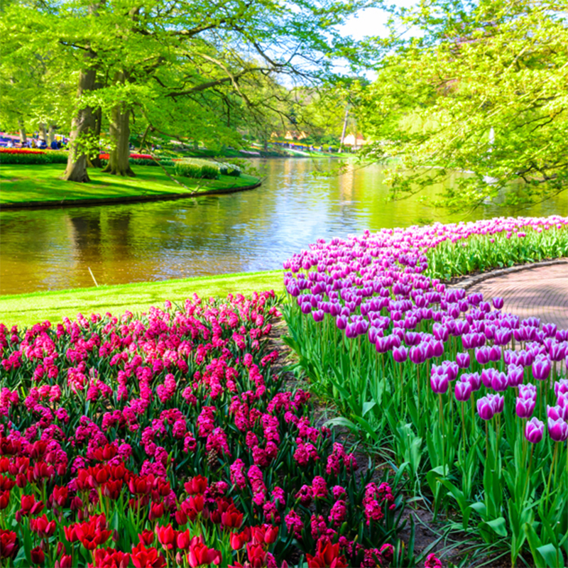Custom 3D Large Mural Fresh Na - огляд і ціна Home Decor Tulip