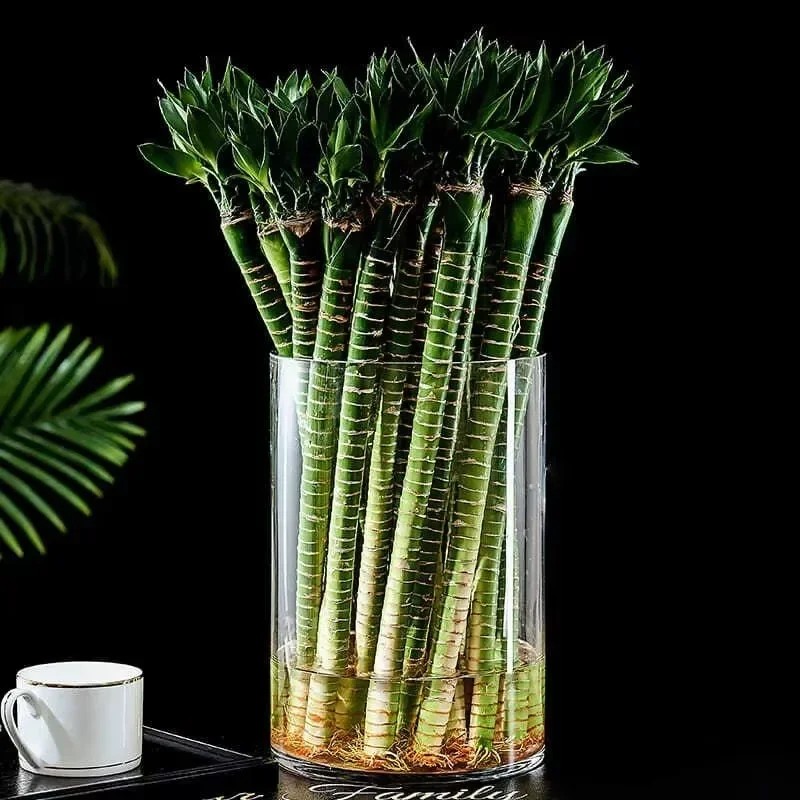 2/4pc Acrylic Cylinder Vase Tr - огляд і ціна Home Decor Vase With Flowers